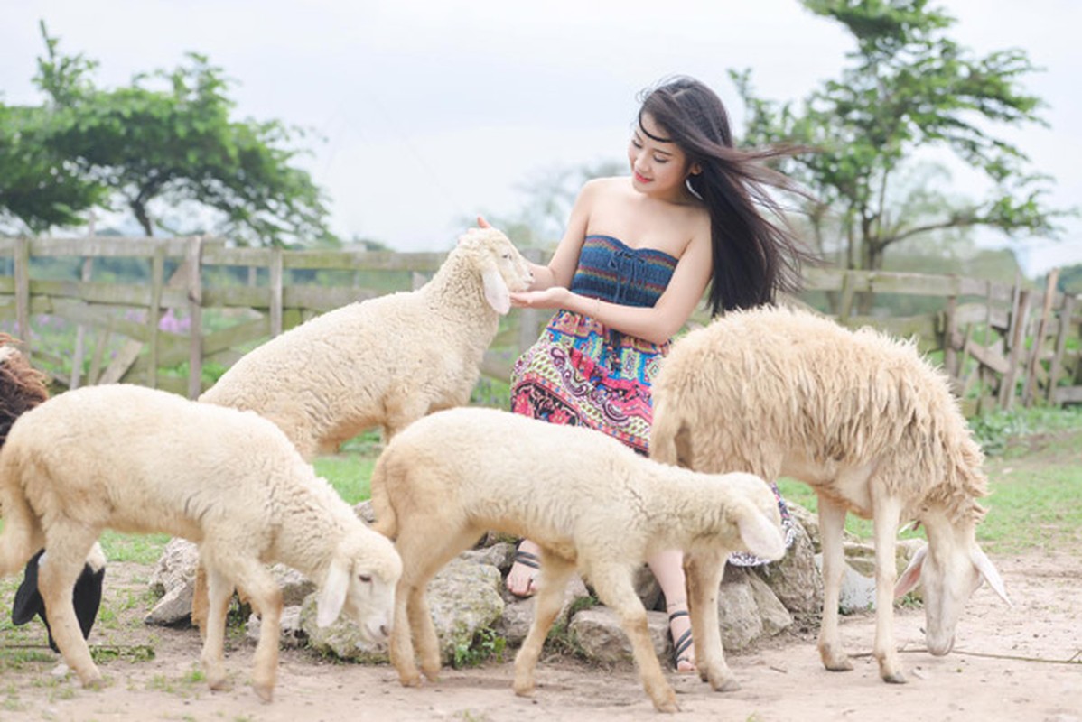 Co mot dong cuu dep nhu mo ngay ngoai thanh Ha Noi-Hinh-7